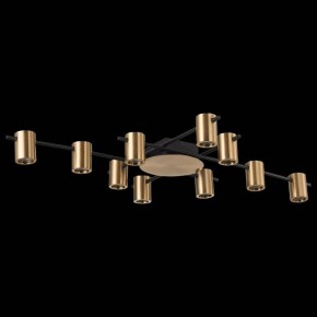 Потолочная люстра ST-Luce Veroli SL1207.402.10 в Кунгуре - kungur.mebel24.online | фото 3
