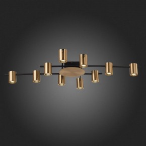 Потолочная люстра ST-Luce Veroli SL1207.402.10 в Кунгуре - kungur.mebel24.online | фото 6
