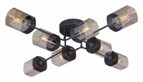 Потолочная люстра Vitaluce 4889 V4889-1/8PL в Кунгуре - kungur.mebel24.online | фото