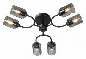 Потолочная люстра Vitaluce V2823 V2823-1/6PL в Кунгуре - kungur.mebel24.online | фото 2