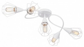 Потолочная люстра Vitaluce V3037 V3037-0/5PL в Кунгуре - kungur.mebel24.online | фото