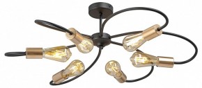 Потолочная люстра Vitaluce V3076 V3076-1/6PL в Кунгуре - kungur.mebel24.online | фото 3