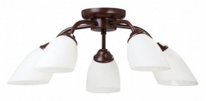 Потолочная люстра Vitaluce V3184 V3252/5PL в Кунгуре - kungur.mebel24.online | фото
