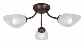 Потолочная люстра Vitaluce V3184 V3404/3PL в Кунгуре - kungur.mebel24.online | фото