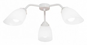 Потолочная люстра Vitaluce V31950 V31950/3PL в Кунгуре - kungur.mebel24.online | фото