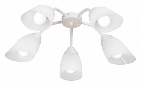 Потолочная люстра Vitaluce V31950 V31950/5PL в Кунгуре - kungur.mebel24.online | фото