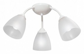 Потолочная люстра Vitaluce V3737 V3737-0/3PL в Кунгуре - kungur.mebel24.online | фото