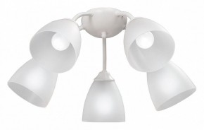 Потолочная люстра Vitaluce V3737 V3737-0/5PL в Кунгуре - kungur.mebel24.online | фото