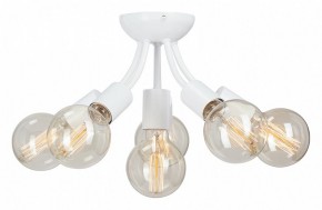 Потолочная люстра Vitaluce V3927 V3927-0/6PL в Кунгуре - kungur.mebel24.online | фото