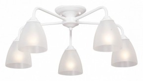 Потолочная люстра Vitaluce  V3946-0/5PL в Кунгуре - kungur.mebel24.online | фото