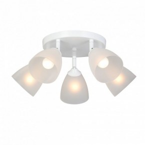Потолочная люстра Vitaluce V4355 V4355-0/5PL в Кунгуре - kungur.mebel24.online | фото 2