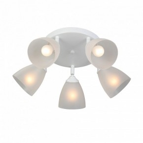 Потолочная люстра Vitaluce V4355 V4355-0/5PL в Кунгуре - kungur.mebel24.online | фото 3