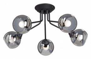 Потолочная люстра Vitaluce  V4724-1/5PL в Кунгуре - kungur.mebel24.online | фото