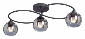 Потолочная люстра Vitaluce  V4965-1/3PL в Кунгуре - kungur.mebel24.online | фото