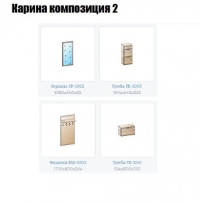 Прихожая Карина (модульная) в Кунгуре - kungur.mebel24.online | фото 6