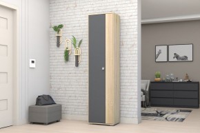 Прихожая Монако-2 (Дуб Сонома/Графит) в Кунгуре - kungur.mebel24.online | фото 11