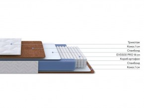 PROxSON Матрас Active F Roll (Ткань Трикотаж Эко) 120x200 в Кунгуре - kungur.mebel24.online | фото 2