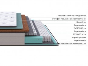 PROxSON Матрас Elysium Firm (Трикотаж Spiral-RT) 80x200 в Кунгуре - kungur.mebel24.online | фото 2
