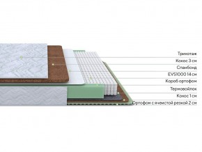 PROxSON Матрас Green Duo M/F (Tricotage Dream) 80x200 в Кунгуре - kungur.mebel24.online | фото 1