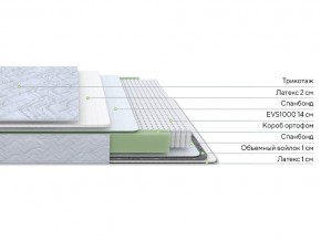 PROxSON Матрас Green S (Tricotage Dream) 80x210 в Кунгуре - kungur.mebel24.online | фото 1