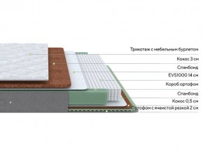PROxSON Матрас Lux Duo M/F (Non-Stress) 120x200 в Кунгуре - kungur.mebel24.online | фото 3