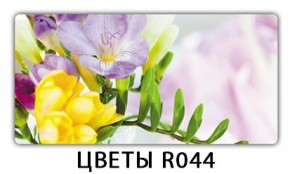 Раздвижной СТ Бриз орхидея R041 Доска D110 в Кунгуре - kungur.mebel24.online | фото 12