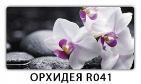 Раздвижной СТ Бриз орхидея R041 Доска D110 в Кунгуре - kungur.mebel24.online | фото 19