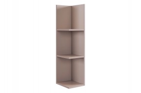 РИЧ Полка навесная 2 (кашемир) в Кунгуре - kungur.mebel24.online | фото 4