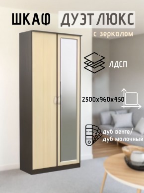 Шкаф 2-х створчатый Дуэт Люкс с зеркалом в Кунгуре - kungur.mebel24.online | фото 1
