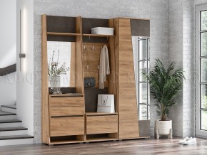 СОРЕНТО Шкаф 2-х створчатый в Кунгуре - kungur.mebel24.online | фото 3