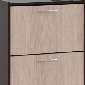 Шкаф для обуви ТО-24 в Кунгуре - kungur.mebel24.online | фото 4