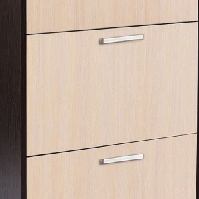 Шкаф для обуви УК-4 в Кунгуре - kungur.mebel24.online | фото 2