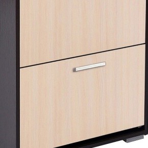 Шкаф для обуви УК-4 в Кунгуре - kungur.mebel24.online | фото 3