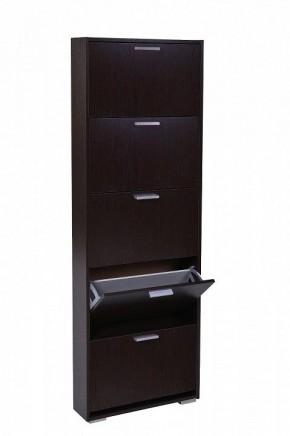 Шкаф для обуви УК-5 10000130 в Кунгуре - kungur.mebel24.online | фото