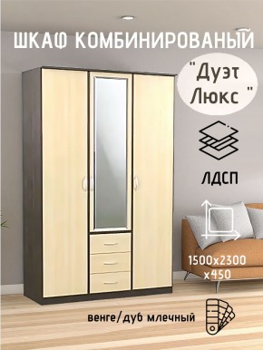 Шкаф комбинированный Дуэт Люкс с зеркалом в Кунгуре - kungur.mebel24.online | фото 3