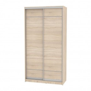 Шкаф-купе B-220х120х60-2 "Белла" в Кунгуре - kungur.mebel24.online | фото 4