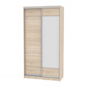 Шкаф-купе B-220х120х60-2 "Белла" (D7D8) в Кунгуре - kungur.mebel24.online | фото
