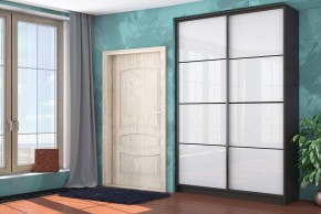 Шкаф-купе Байкал-2 СТЛ.268.11 в Кунгуре - kungur.mebel24.online | фото 3