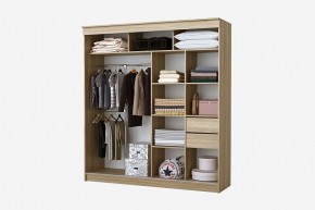 Шкаф-купе Фаворит 2.0 серия Альянс (дуб сонома) в Кунгуре - kungur.mebel24.online | фото 2