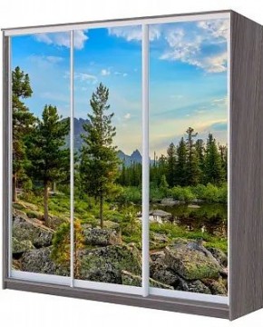 Шкаф-купе ХИТ 22-20/2-777 ПРИРОДА в Кунгуре - kungur.mebel24.online | фото