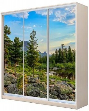 Шкаф-купе ХИТ 22-20-777 ПРИРОДА в Кунгуре - kungur.mebel24.online | фото