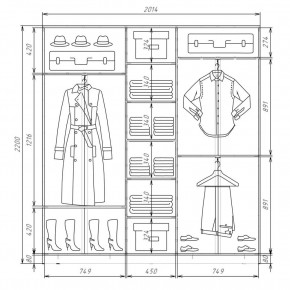 Шкаф-купе ХИТ 22-4-20-555 (420) в Кунгуре - kungur.mebel24.online | фото 2