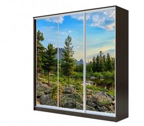 Шкаф-купе ХИТ 22-4-20-777 (420) в Кунгуре - kungur.mebel24.online | фото