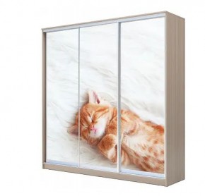 Шкаф-купе ХИТ 22-4-20-777 КОТЕНОК СПЯЩИЙ в Кунгуре - kungur.mebel24.online | фото