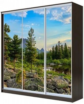 Шкаф-купе ХИТ 23-20-777 ПРИРОДА в Кунгуре - kungur.mebel24.online | фото