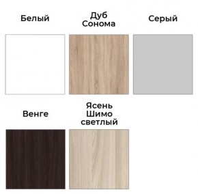 Шкаф-купе ХИТ 23-24/2-7777 (620) в Кунгуре - kungur.mebel24.online | фото 2