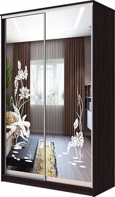 Шкаф-купе ХИТ 23-4-12-66 ЦАПЛИ в Кунгуре - kungur.mebel24.online | фото