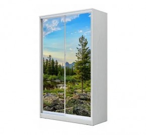 Шкаф-купе ХИТ 24-12/2-77 (620) в Кунгуре - kungur.mebel24.online | фото