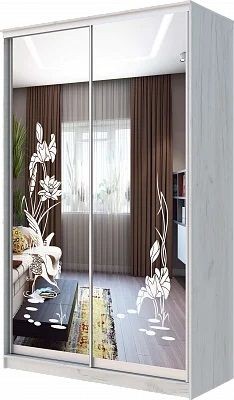 Шкаф-купе ХИТ 24-14-66 ЦАПЛИ в Кунгуре - kungur.mebel24.online | фото