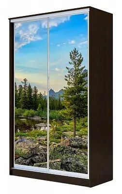 Шкаф-купе ХИТ 24-17-77 ПРИРОДА в Кунгуре - kungur.mebel24.online | фото